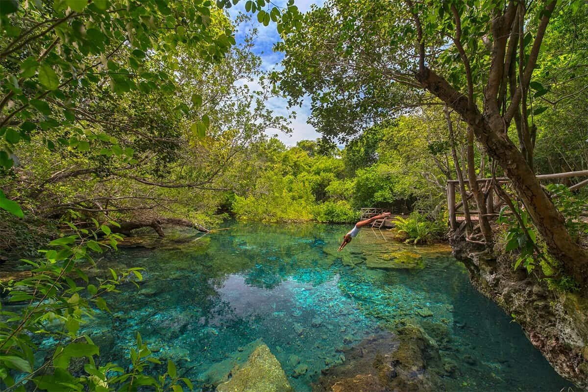 Reserva Ecológica Ojos Indígenas
